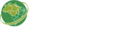 Logo do ImazonGeo