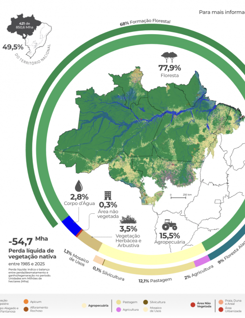 Amazonia-Cobertura-e-Uso-da-Terra-Infografico-Colecao-11-12_08_26 (1)